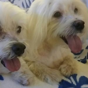 Meet your Posher, Grace